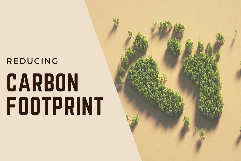 reducing carbon footprint by hiring virtual assistant